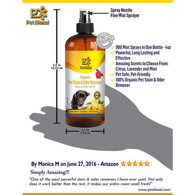 Pet Stain & Odor Remover Spray For Pet Odor Elimination Of Dog & Cat Urine Stains - Best Organic Enzyme Cleaner - Lavender, Citrus, Mint With Tea Tree Oil - 3 VARIETY PACK - 4 FL Oz by Pet Diesel