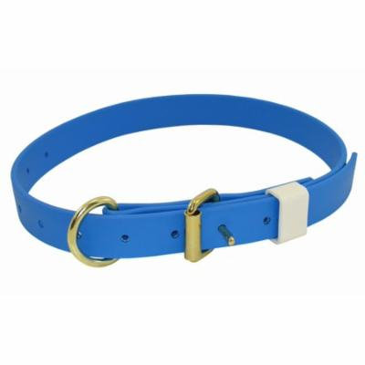 Sky Blue Boithane Dog Collar 1-Inch Wide and Adjustable from 14 to 24 Inches