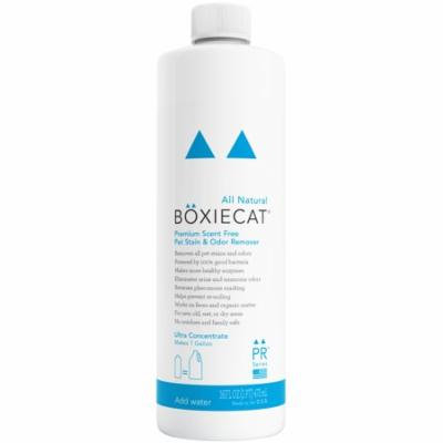 Boxiecat Premium Scent-Free Stain & Odor Remover, 16 Oz Ultra Concentrate