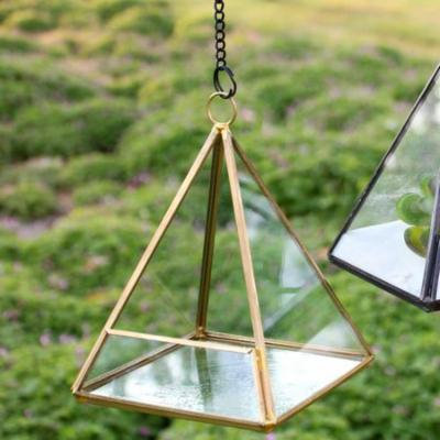 WGV International Pentahedron Pyramid Terrarium