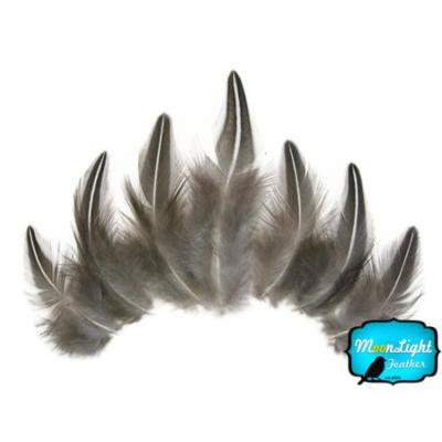 10 Pieces - Natural Black And White Jungle Cock Loose Feather