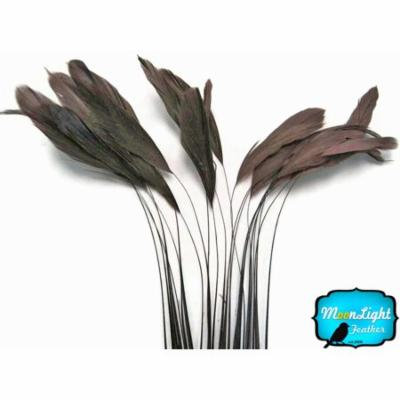 1 Dozen - Brown Stripped Coque Tail Feathers