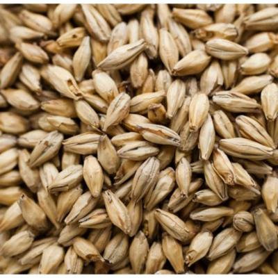 Briess Munich 10L Malt - 10 LB, Crushed