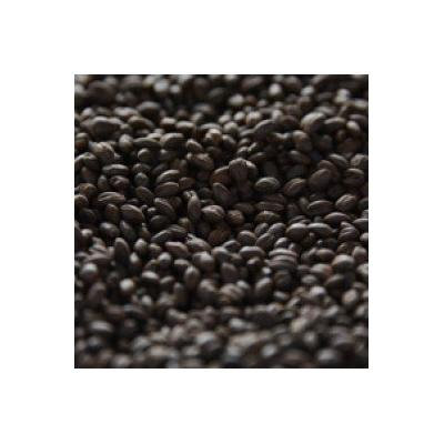 Patagonia Perla Negra (Black Pearl) 340L Uncrushed Malt - 10 lb. Bag