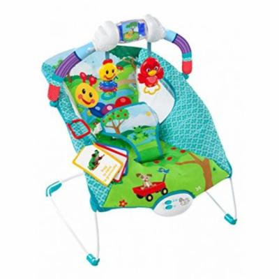 Baby Einstein Caterpillar's Day at the Park Bouncer