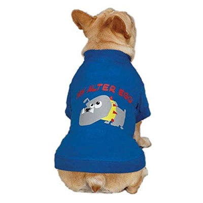 Casual Canine ZM3438 14 19 Alter Ego Tee for Dogs, Small/Medium, Blue