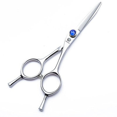 Dream Reach Hair Cutting Scissors Shears - 5.5''/5.0'' Professional Twin Tail Hairdressing Scissors Barber Salon Razor Edge Mustache&Beard Clipping Scissors with Fine Adjustment Screw