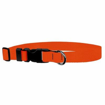 Classic Adjustable Dog Collar: Large, Hot Orange, 1 inch Nylon by Moose Pet Wear
