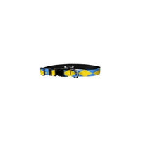 Deluxe Adjustable Dog Collar: Small, Argyle:Yellow & Blue, 3/4 inch Sublimated Polyester by Moose Pet Wear
