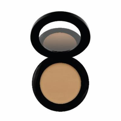 Perfecting Under Eye Concealer - Certified Gluten-Free (GF), Soy-Free, Synthetic Dye-Free, Vegan, Non-Toxic, 100% Natural (Praline)