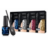 Sensationail Color Gel Polish 4-Piece Collection Magnetic Set