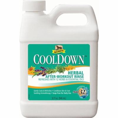 ABSORBINE COOLDOWN HERBAL AFTER WORKOUT RINSE
