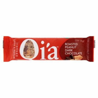 Nature's Path Organic Qi'a Roasted Peanut Dark Chocolate Superfood Snack Bar, 1.3 oz (Pack of 12)