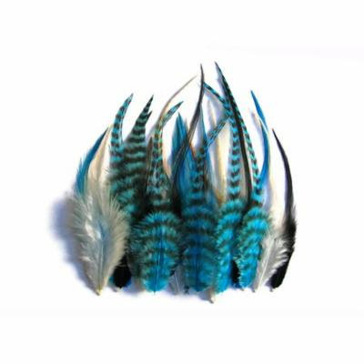 2 Dozen - Short Blue Mix Grizzly Rooster Hair Extension Feathers