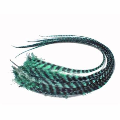 6 Pieces - Mint Green Thick Long Grizzly Rooster Hair Extension Feathers
