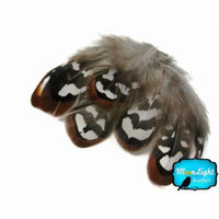 10 Pieces - Brown Reeves Venery Pheasant Plumage Loose Feathers