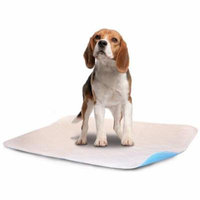 LennyPads Ultra Absorbent, Reusable, Training and Travel Washable Pee Pads - Single Sheet (24”x36”) XL Long