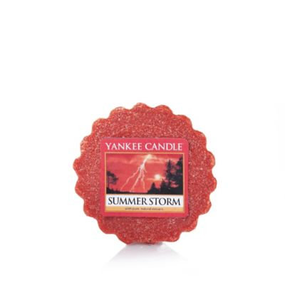 Yankee Candle Summer Storm Tarts Wax Melt