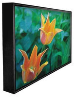 PEERLESS CL-4765 Outdoor HDTV,47 in,60 Hz, LED