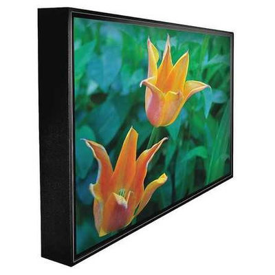 PEERLESS CL-4765 Outdoor HDTV,47 in,60 Hz, LED
