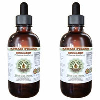 Mullein (Verbascum Densiflorum) Glycerite, Organic Dried Leaves Alcohol-Free Liquid Extract, Denseflower Mullein, Glycerite Herbal Supplement 2x4 oz