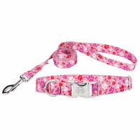 Country Brook Design® Puppy Love Premium Dog Collar & Leash