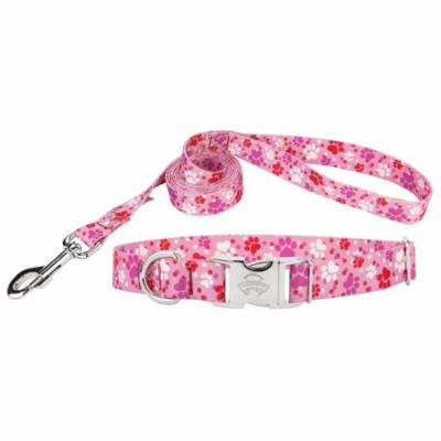 Country Brook Design® Puppy Love Premium Dog Collar & Leash