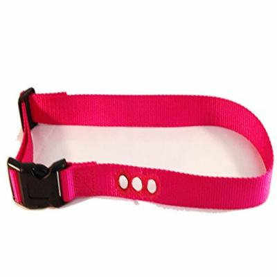 Sparky PetCo Dog Fence 1