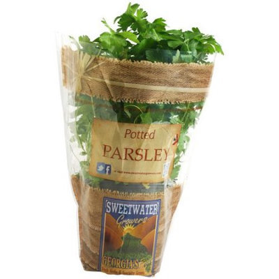 Sweetwater Growers Potted Parsley