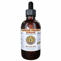 Borage (Borago Officinalis) Tincture, Organic Dried Flowers and Herb Liquid Extract, Starflower, Herbal Supplement 2 oz