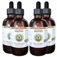 Strawberry (Fragaria vesca) Glycerite, Organic Dried Leaf Alcohol-Free Liquid Extract, Wild Strawberry, Glycerite Herbal Supplement 4x4 oz
