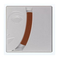 Kryolan 5351 Eyebrow Powder (3 Colors Available) (Auburn)