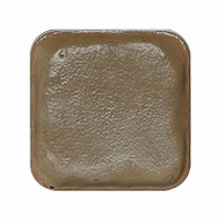 European Body Art EncoreHAIR&BEARD Alcohol Activated Professional Makeup Palette Refill Pan, Mud