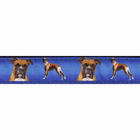 Country Brook Design® 1 Inch Boxer Ribbon Dog Leash-4 Foot-Limited Edition