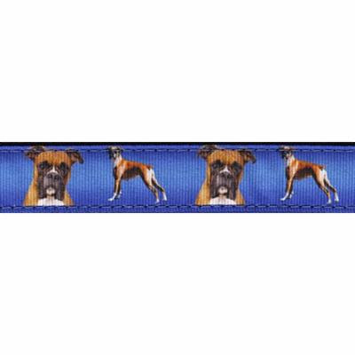 Country Brook Design® 1 Inch Boxer Ribbon Dog Leash-4 Foot-Limited Edition