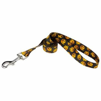 Country Brook Petz® 3/4 Inch Happy Jack Featherweight Dog Leash - 6 Foot