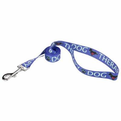 Country Brook Petz®3/4 inch Blue Therapy Featherweight Dog Leash-4 Foot