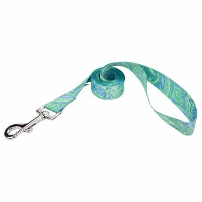Country Brook Petz® 1 Inch Green Paisley Featherweight Dog Leash - 2 Feet