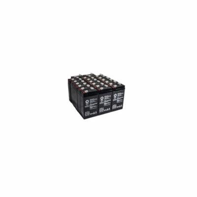 SPS Brand 6 V 3.2 Ah TT1 Replacement Battery with Terminal T1 for PACE 100 OXIMAX PULSE OXIMETER (20 PACK)