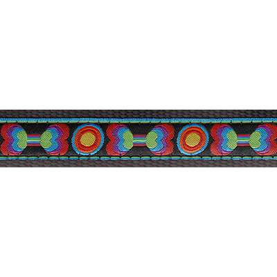 Country Brook Design® 1 Inch Funkadelic Bones Ribbon Dog Leash Limited Edition - 2 Foot
