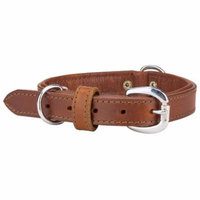 Angel Dallas Leather Dog Collar