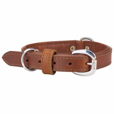 Angel Dallas Leather Dog Collar