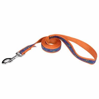 Country Brook Design® 1 Inch Rainbow Paws and Bones Ribbon on Orange Dog Leash Limited Edition - 4 Foot