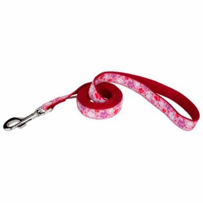 Country Brook Design® 3/4 Inch Puppy Love Ribbon Dog Leash - 2 Foot
