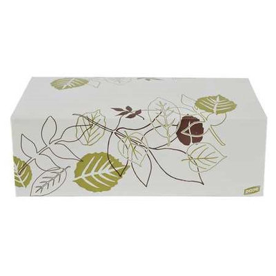 DIXIE 960PATH Carry Out Container, Pathways, PK250