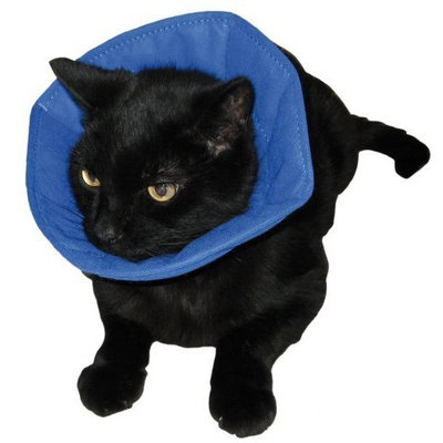 Company Of Animals Soft-E Fabric Elizabethan Collar - Size 4