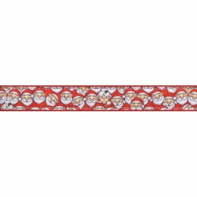 Country Brook Design® 3/4 Inch Where's Merry Ribbon Dog Leash - 4 Foot
