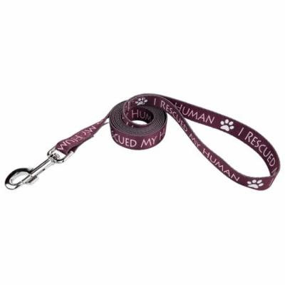 Country Brook Design® 5/8 Inch I Rescued My Human Dog Leash - 4 Foot