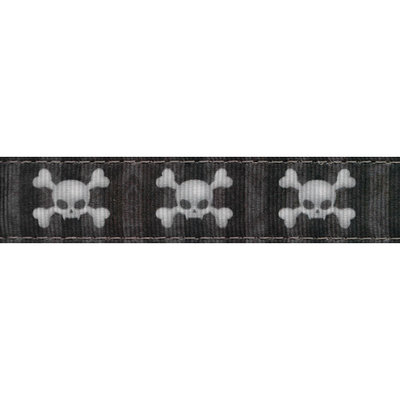 Country Brook Design® 3/4 Inch Nytemare Ribbon Double Sided Dog Leash - 6 Foot