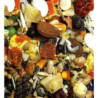 Higgins Pet Food Higgins Mayan Harvest Tikal Food Mix for Parrots, 3 lbs. ()